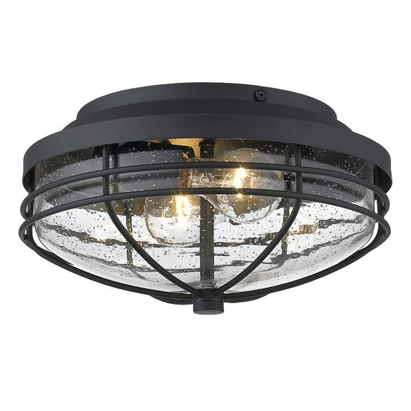 Golden Lighting Seaport 2-light Outdoor Ceiling in Natural Black
