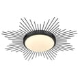 thumbnail image 1 of Wry Lighting Kieran Integrated LED 24in Flush Mount in Matte Black, 1 of 12