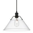 thumbnail image 1 of Yep by Golden Lighting Orwell 1-light 14in Pendant in Matte Black and Clear Glass, 1 of 4