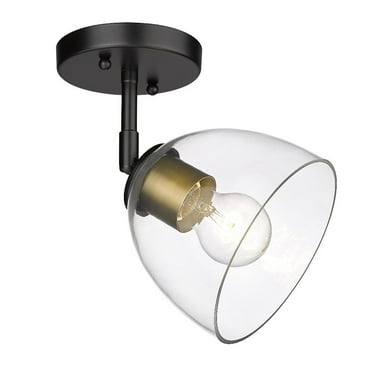 Golden Lighting  Roxie Semi-Flush in Matte Black
