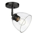 thumbnail image 1 of Golden Lighting Roxie 1-light Semi-Flush Mount in Matte Black, 1 of 4