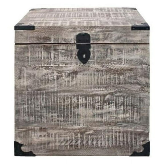 Golden Mateo Solid Wood Trunk End Table in Gray