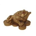 thumbnail image 1 of Golden Money Frog, 1 of 1