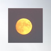 Golden Moon Poster Wall Art, Modern Wall Decor, 16x16 UNFRAMED