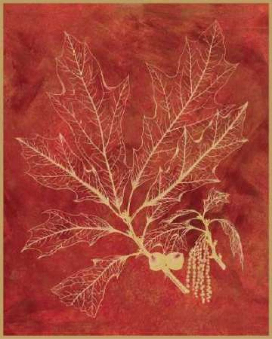 Golden Oak I Canvas Art - Sarah E Chilton (24 x 30)