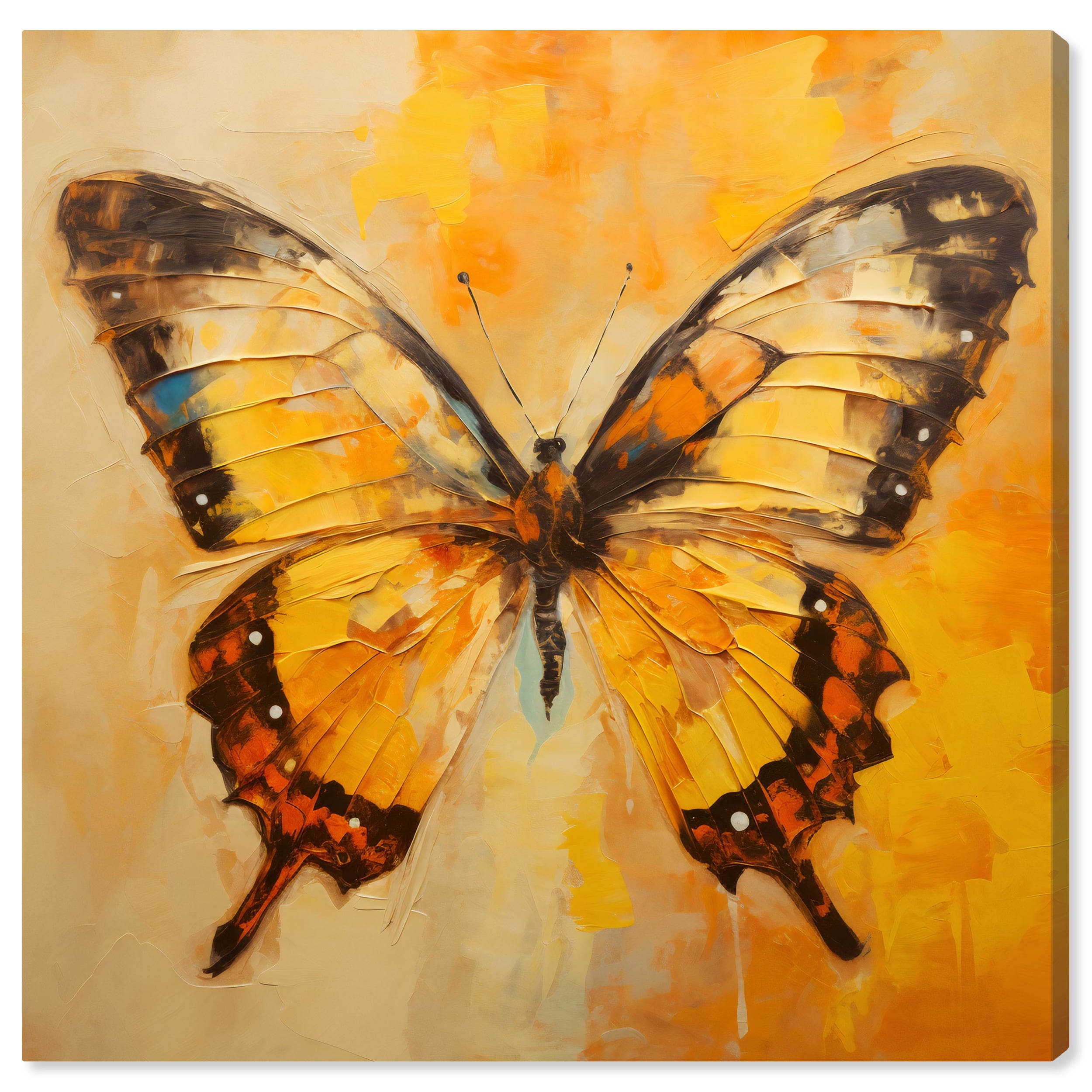 Golden Ochre Butterfly II Elegant 16" x 16" Canvas Wall Art