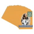 thumbnail image 1 of Golden Orange Picture Frame Mat for 12x16 Frames - Oval Opening for 9x13 Photos - 25 Mats, 1 of 7