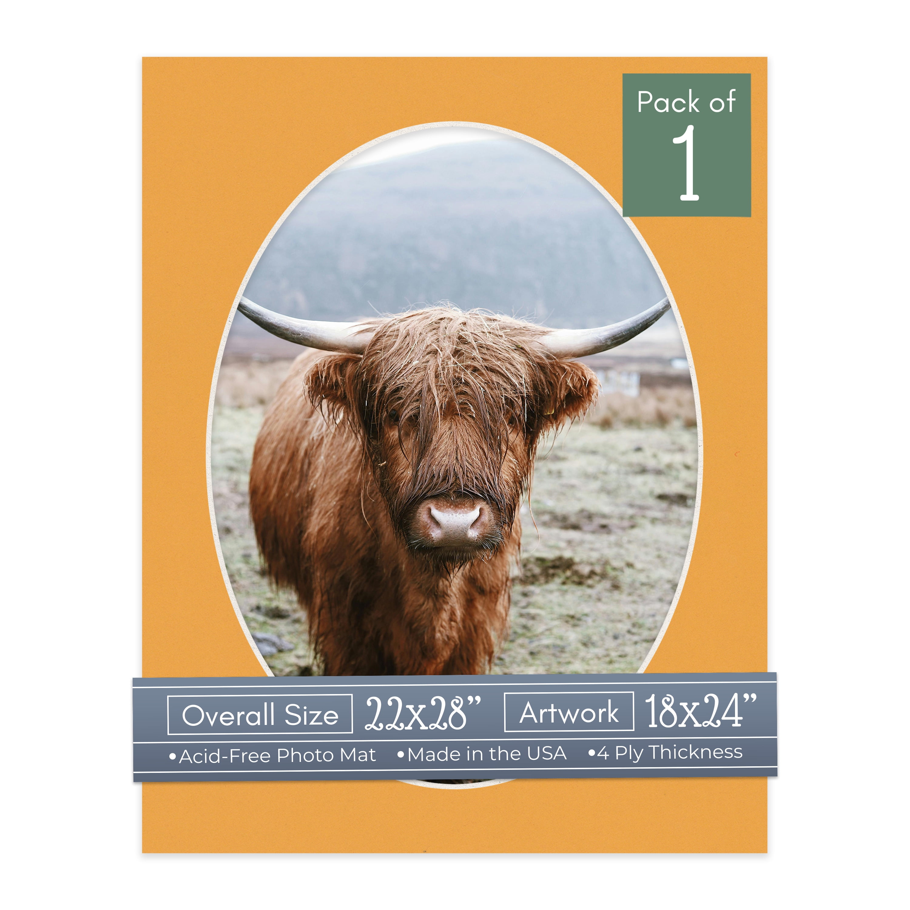 Golden Orange Picture Frame Mat for 22x28 Frames - Oval Opening for 18x24 Photos - 1 Mat
