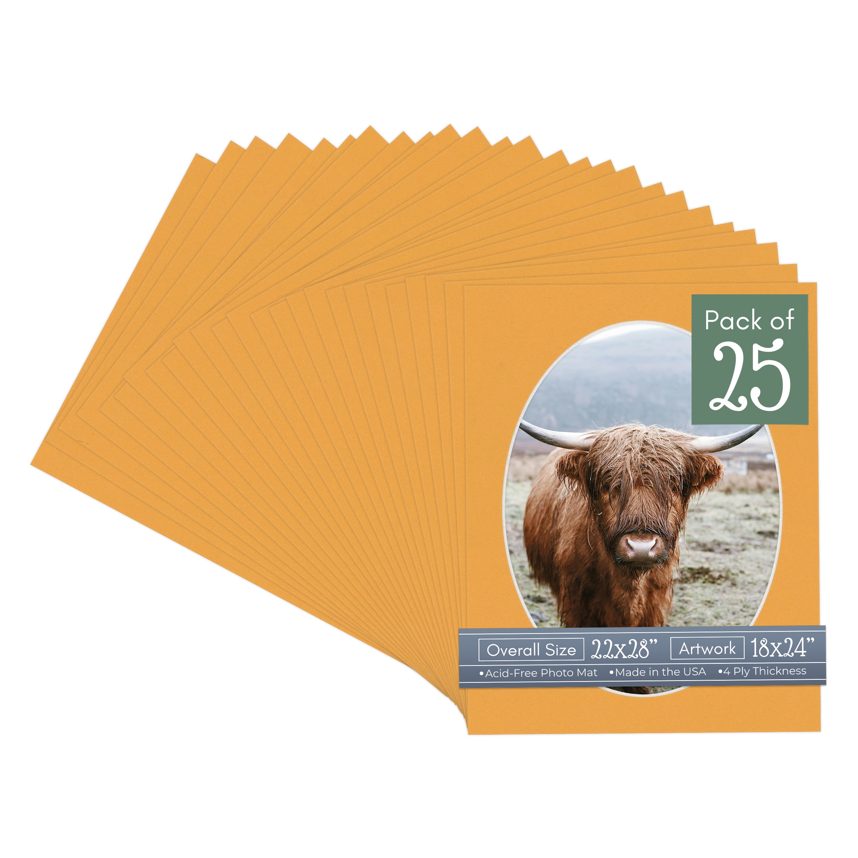 Golden Orange Picture Frame Mat for 22x28 Frames - Oval Opening for 18x24 Photos - 25 Mats