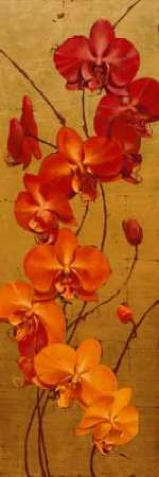 Golden Orchids I Canvas Art - Kenneth Catlett (8 x 24)