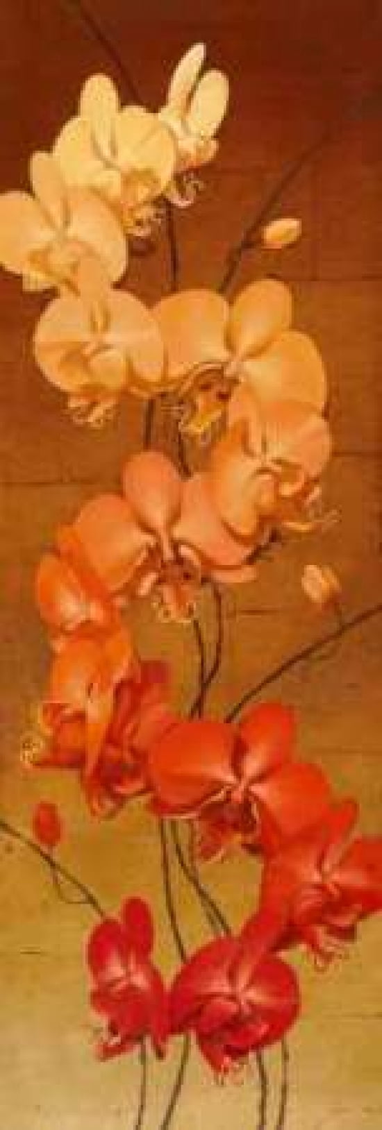 Golden Orchids II Canvas Art - Kenneth Catlett (8 x 24)