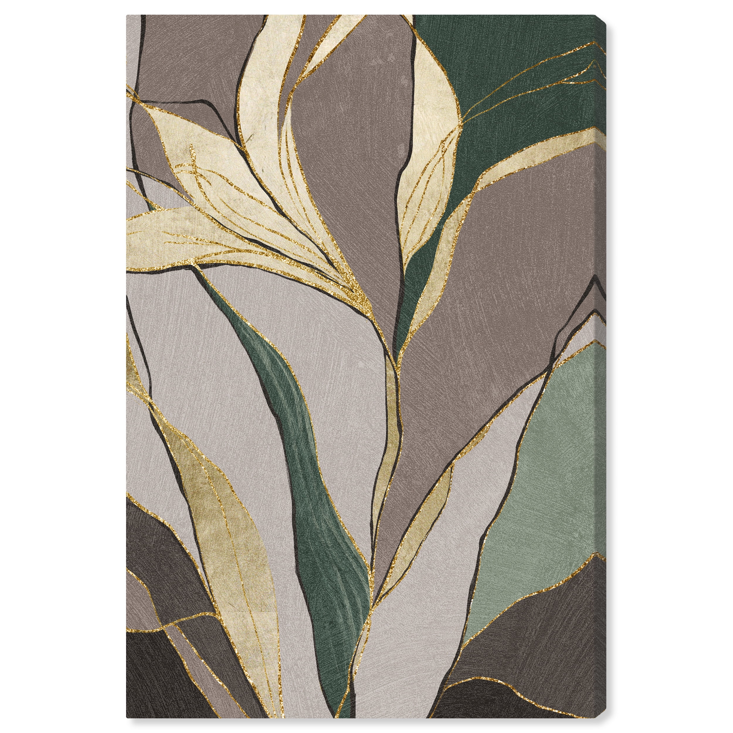 Golden Outline Floral II Floral and Botanical Wall Art Print Brown 20x30