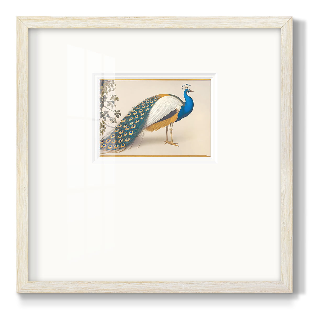 Golden Peacock IIIPremium Framed Print