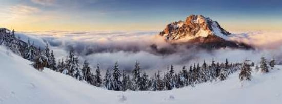 Golden Peak Canvas Art - Tomas Sereda (10 x 20)