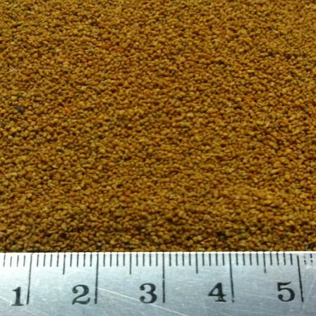 Golden Pearls 1/8-lb Fry, Corals, Reef Tanks, Betta, Discus, Cichlid, Baby Food...500-800 Microns