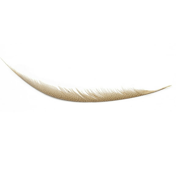 Golden Pheasant Center Tails Dyed Silver Dunn Blue Feather