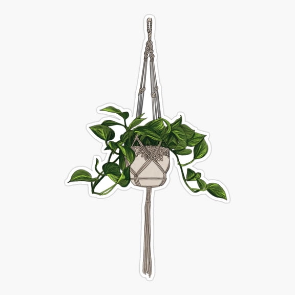 Golden Pothos Houseplant Vine Sticker