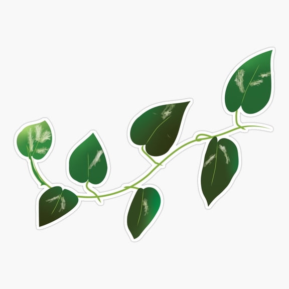 Golden Pothos Vine Plant Sticker