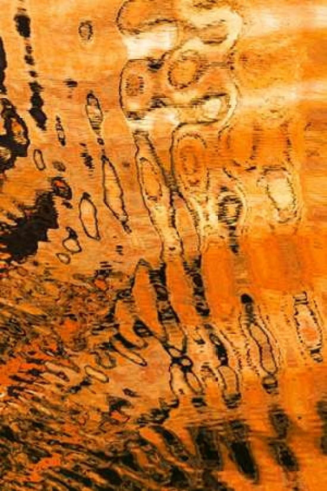 Golden Reflection I Canvas Art - Kathy Mahan (12 x 18)