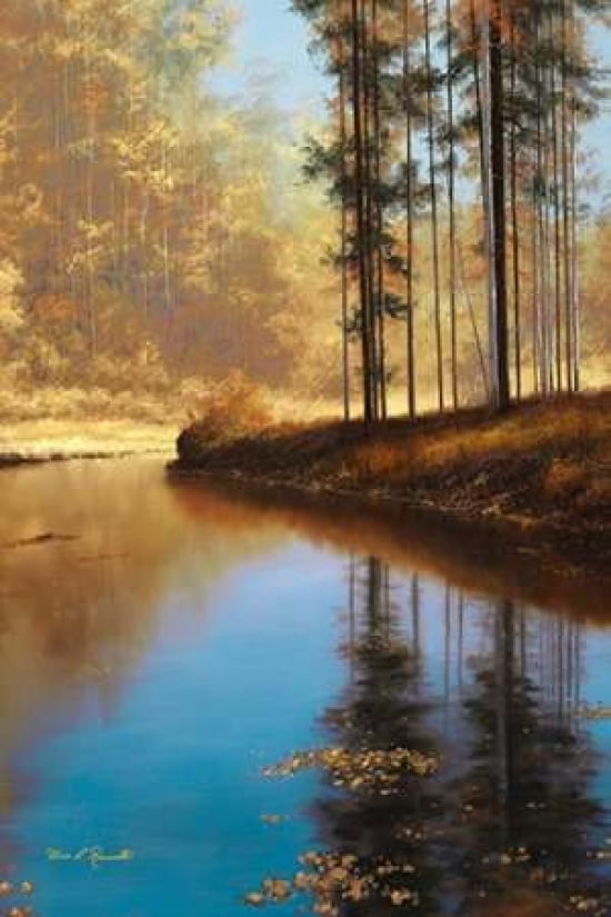 Golden Reflections Canvas Art - Diane Romanello (20 x 28)