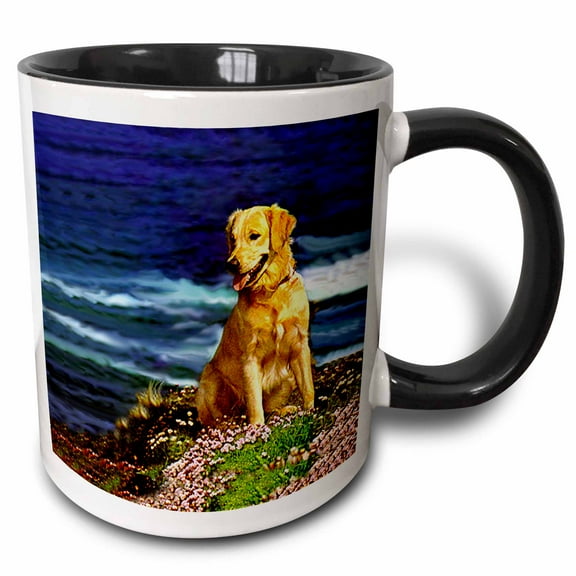 3drose, Golden Retriever, 11oz Two-tone Black Mug