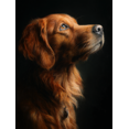 thumbnail image 1 of Golden Retriever Art Canvas Print，Pet Wall Decor for Living Room Bedroom Office Cafe Bar Home, 1 of 8