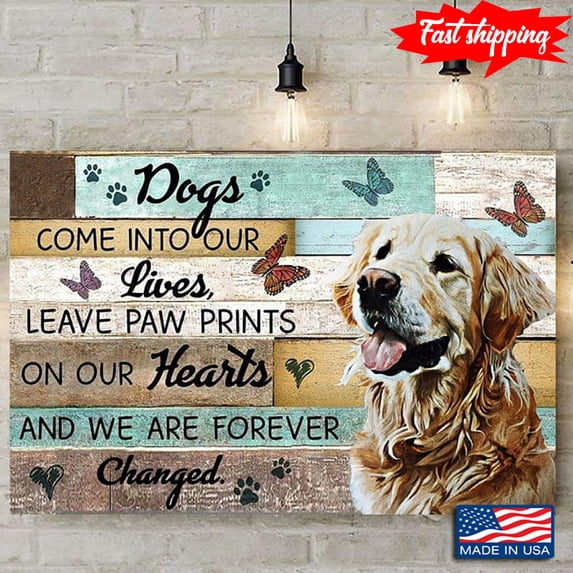 What “Why Do Dogs Come Into Our Lives?” Really Means