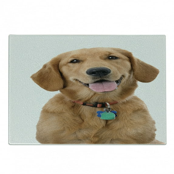 Golden Retriever Cutting Board, Portrait of Young Pedigreed Dog Wearing a Collar and Tags Domestic Animal, Decorative Tempered Glass Cutting and Serving Board, Small Size, Multicolor, by Ambesonne