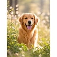 thumbnail image 1 of Golden Retriever Diamond Art 5D Diamond Painting DIY Kits Full Round Drill Rhinestones by Number Mosaic Arts and Crafts for Living Room Home Wall Decor 12x16 inch / 30x40cm, 1 of 4
