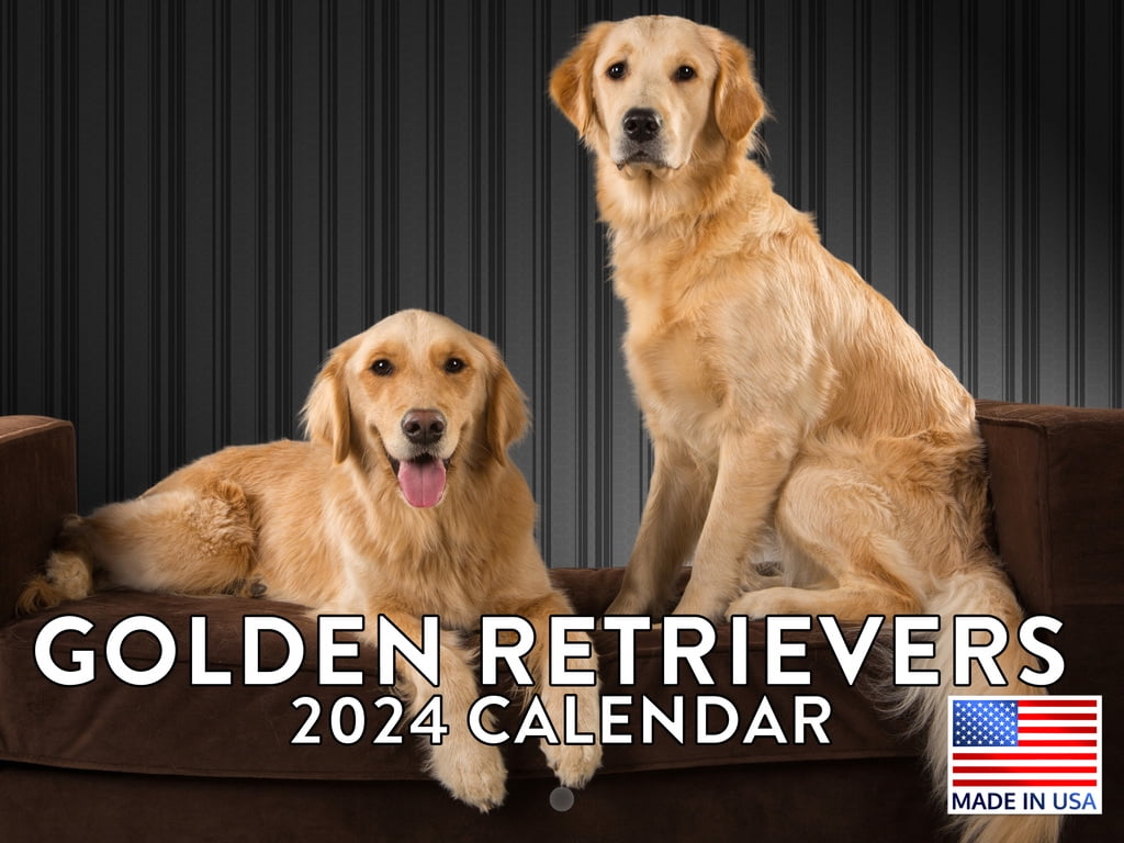 Golden Retriever Dog Breed Gifts 2024 Wall Calendar Golden Retriever
