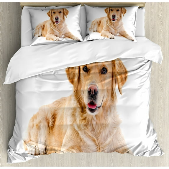 Golden Retriever Duvet Cover Set Queen Size, Young Pedigree Puppy Laying over White Background Sweet Baby Dog, Decorative 3 Piece Bedding Set with 2 Pillow Shams, Sand Brown White, by Ambesonne