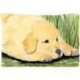 thumbnail image 1 of Golden Retriever Moisture Wicking Fabric Standard Pillowcase, 1 of 1