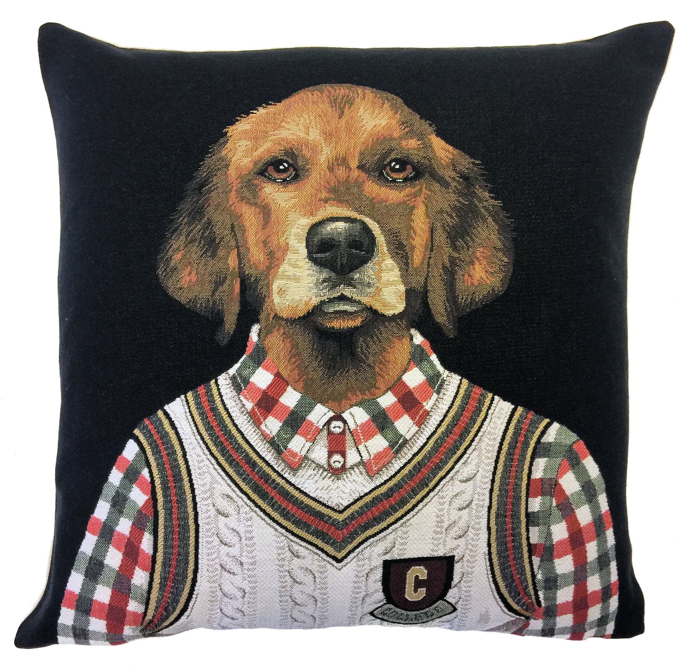 Golden Retriever Pillow Cover College Decor Preppy Look Dog Lover