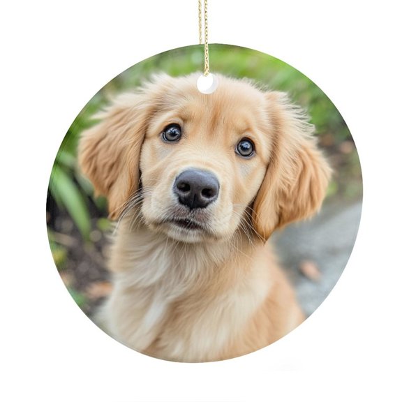 Golden Retriever Puppy Dog Christmas Tree Ornaments Custom Pet Photo 2 Side Printed Ornaments Gifts for Christmas 2025
