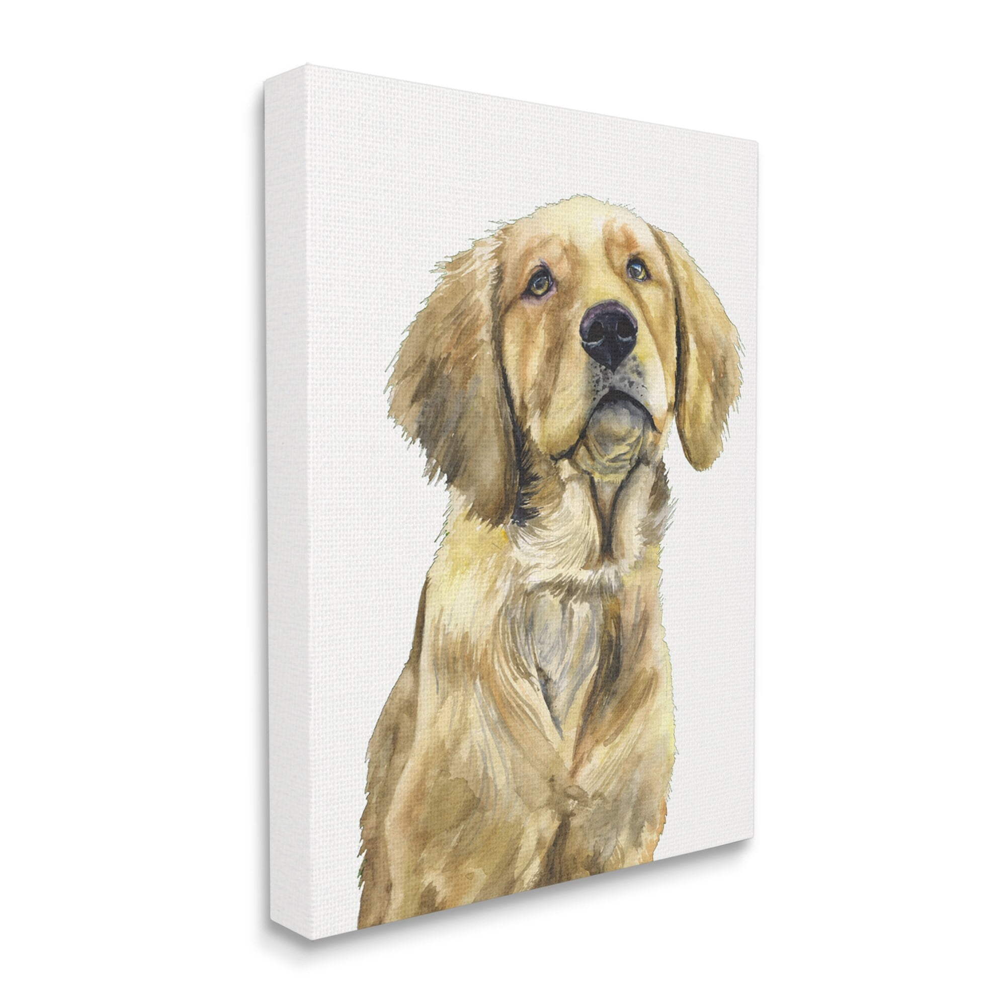 Stupell Industries Golden Retriever Puppy Portrait Soft Yellow Dog Canvas Wall Art, 16 x 20, Design by George Dyachenko