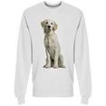 thumbnail image 1 of Golden Retriever Sitting Sweatshirt Men -Image by Shutterstock, Male x-Large, 1 of 2