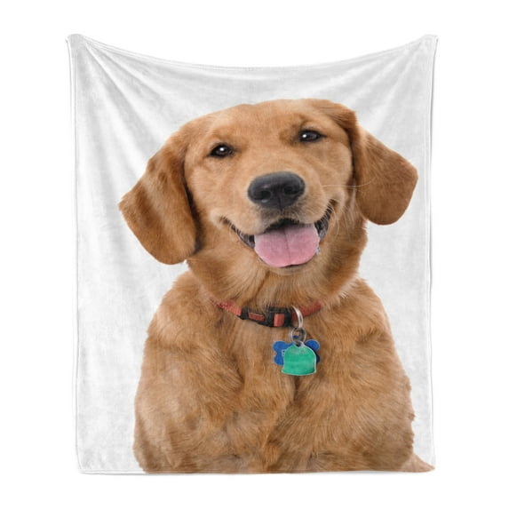 Golden Retriever Soft Flannel Fleece Blanket, Portrait of Young Pedigreed Dog Wearing a Collar and Tags Domestic Animal, Cozy Plush for Indoor and Outdoor Use, 70" x 90", Multicolor, by Ambesonne