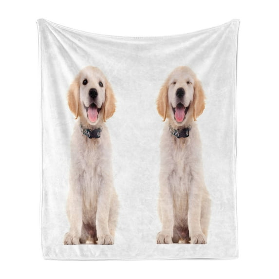 Golden Retriever Soft Flannel Fleece Throw Blanket, 2 Emotional Poses of a Young Panting Domestic Puppy Happy and Playful, Cozy Plush for Indoor and Outdoor Use, 60" x 80", Multicolor, by Ambesonne