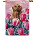 thumbnail image 1 of Golden Retriever Tulip Flowers House Flag Hello Spring Summer Floral Dog Decor Flag Banner for Yard Outdoor 28X40 Inch Double Side, 1 of 6