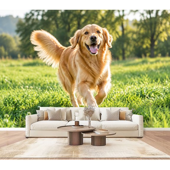 Golden Retriever Wallpaper Running Green Meadow Happy Sunny Outdoor Peel and Stick Wall Murals 100"H x 144"W Removable PVC Wall Paper Self-Adhesive Wall Decor for Bedroom Living Room