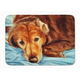 thumbnail image 1 of Golden Retriever by Tanya & Craig Machine Washable Memory Foam Mat, 1 of 1