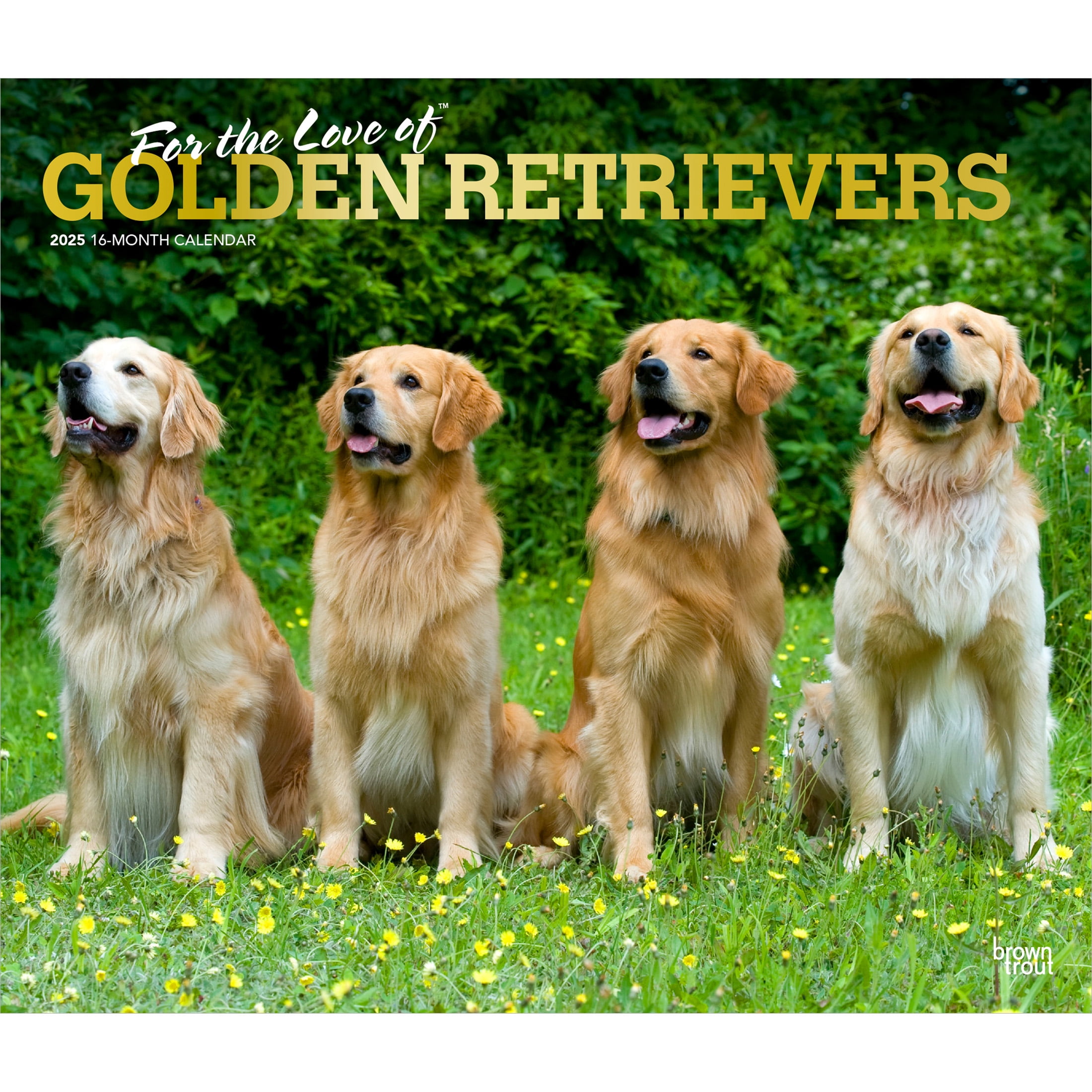Golden Retrievers 2025 14x24" (Hanging) Deluxe Wall Calendar
