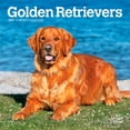 thumbnail image 1 of Golden Retrievers | 2027 7x14" (Hanging) Wall Calendar, 1 of 9