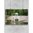 thumbnail image 1 of Golden Retrievers In Puddle Poster -Image by Shutterstock, 1 of 2