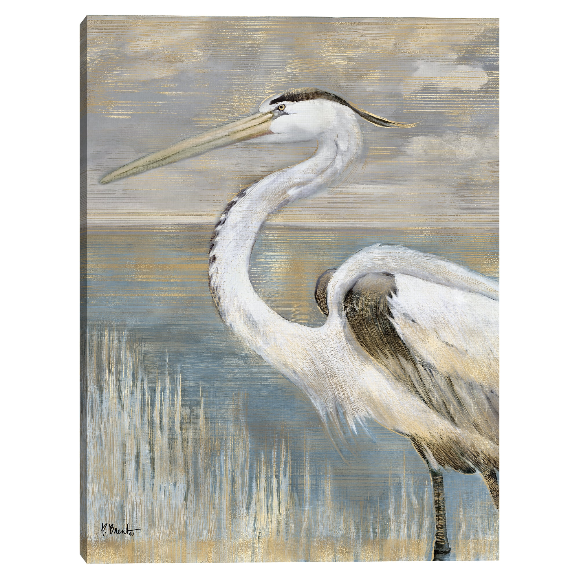 Golden River Heron by Paul Brent Canvas Art Print