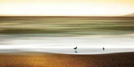 Golden Shores Canvas Art - Marvin Pelkey (10 x 20)