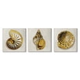 thumbnail image 1 of Golden Spiral Seashells with Intricate Patterns Animals & Insects Gallery-Wrapped Canvas Print Wall Art, Set of 3, 17x17, 1 of 1