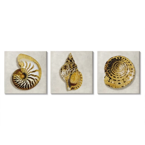 Golden Spiral Seashells with Intricate Patterns Animals & Insects Gallery-Wrapped Canvas Print Wall Art, Set of 3, 17x17