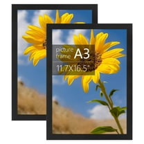 Golden State Art A3 11.7 x 16.5 Inch Poster Picture Frames Wall Display, Black, 2 Pack