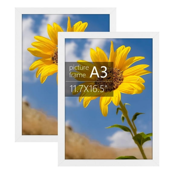 Golden State Art A3 11.7x16.5 Inch Picture Frames with Plexiglass, White, Set of 2